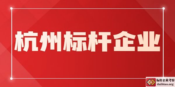 杭州標(biāo)桿企業(yè)考察