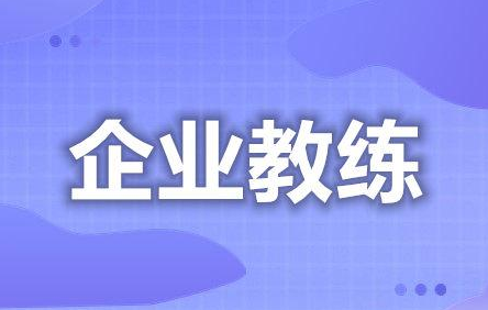 企業教練
